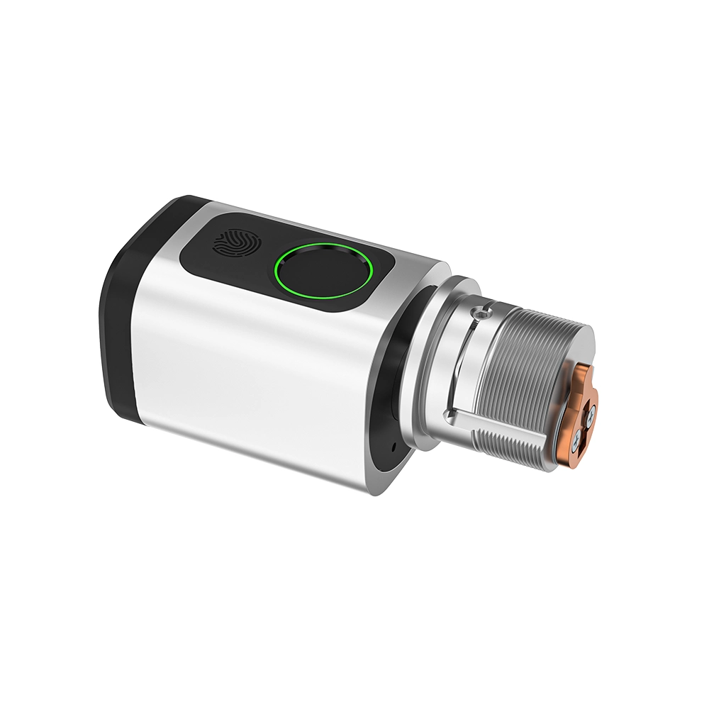 D1-Mortise cylinder