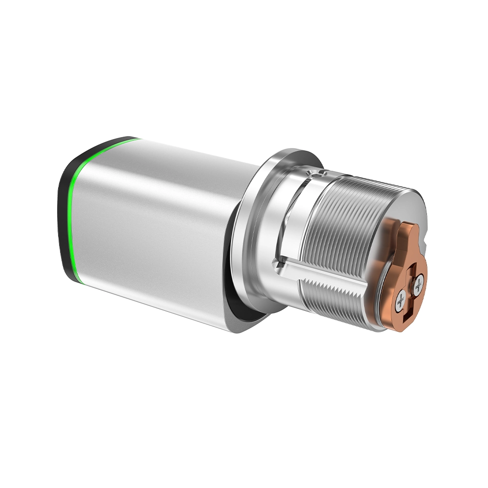 D3-Mortise cylinder